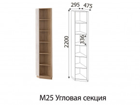 М25 Угловая секция в Красновишерске - krasnovishersk.магазин96.com | фото