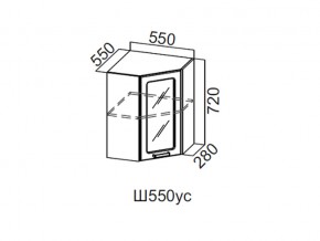 Ш550ус/720 Шкаф навесной 550/720 (угловой со стеклом) в Красновишерске - krasnovishersk.магазин96.com | фото