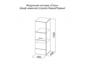 Шкаф навесной (глухой) Левый в Красновишерске - krasnovishersk.магазин96.com | фото