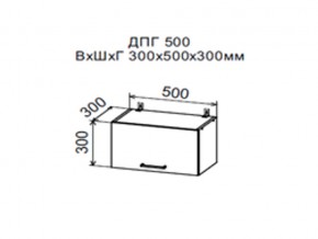 Шкаф верхний ДПГ500 горизонтальный в Красновишерске - krasnovishersk.магазин96.com | фото