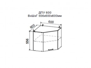 Шкаф верхний ДПУ600 угловой в Красновишерске - krasnovishersk.магазин96.com | фото