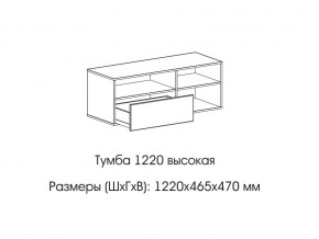 Тумба 1220 (высокая) в Красновишерске - krasnovishersk.магазин96.com | фото